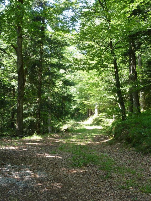 Gasthaus Zum Schwanen Ühlingen-Birkendorf Esterno foto